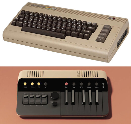 orchid.jpg orchid.jpg