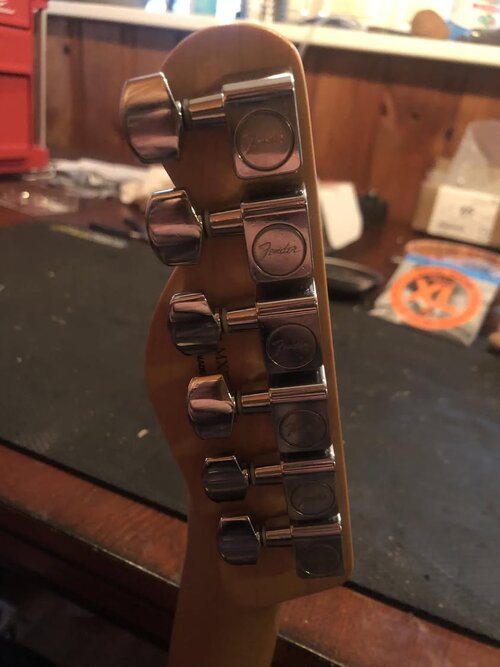 469960621_10110743060033626_4277291303716373542_n.jpg