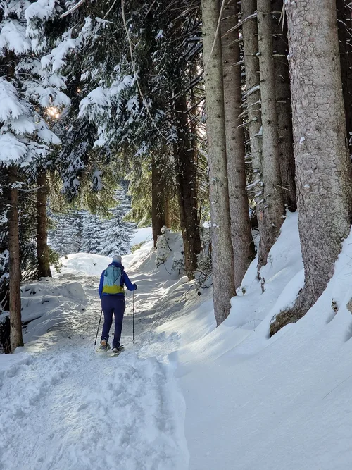 20250104_171541.jpg 20250104_171541.jpg