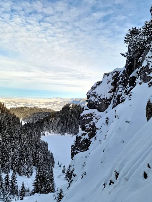 20250104_171657.jpg 20250104_171657.jpg