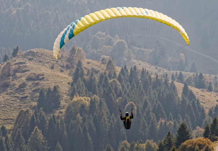 Panettone_Okt2023_AJN8513_DxO.webp Panettone_Okt2023_AJN8513_DxO.webp