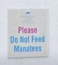 Don&#039;t feed the Manatees.webp
