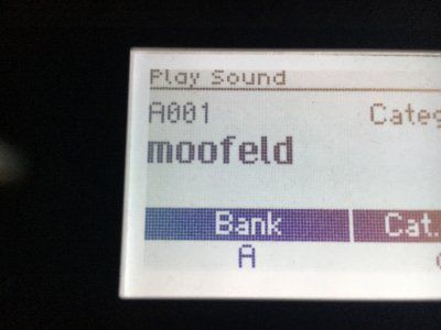 moofeld.jpg