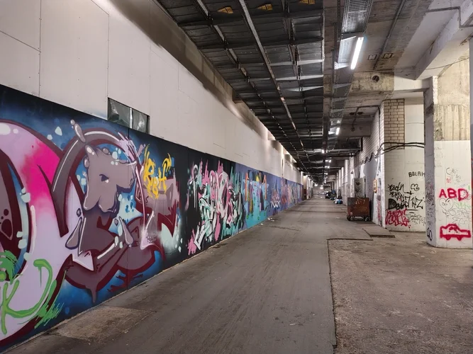 1000052155.jpg 1000052155.jpg