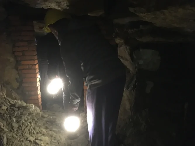 IMG_0981.JPG IMG_0981.JPG