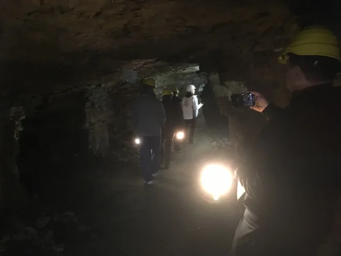 IMG_0985.JPG IMG_0985.JPG