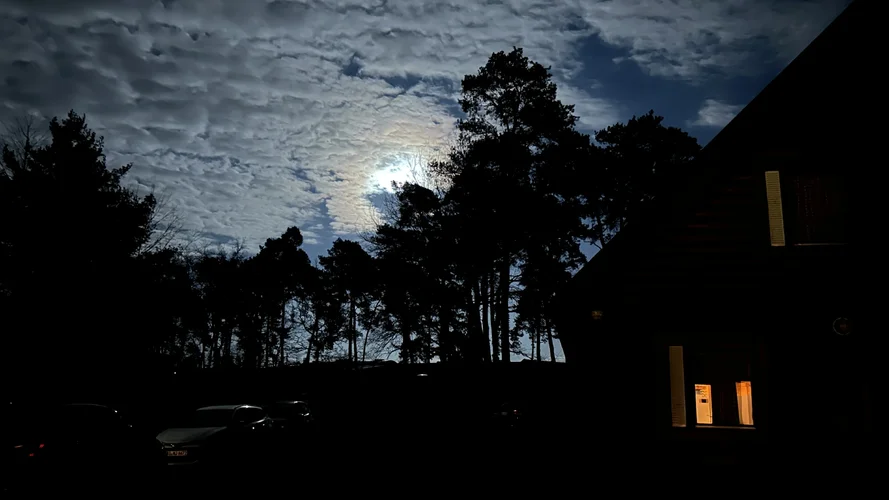 IMG_9876.webp IMG_9876.webp