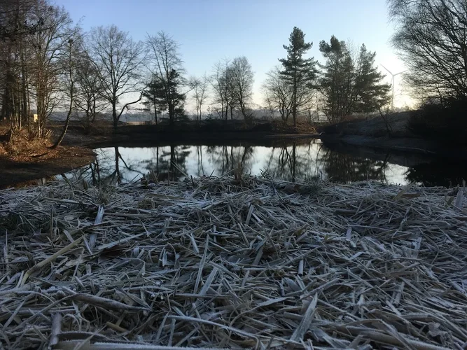 IMG_0974_weiher.JPG IMG_0974_weiher.JPG