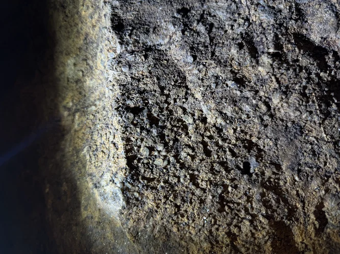 G-Loch Expedition 6318.webp