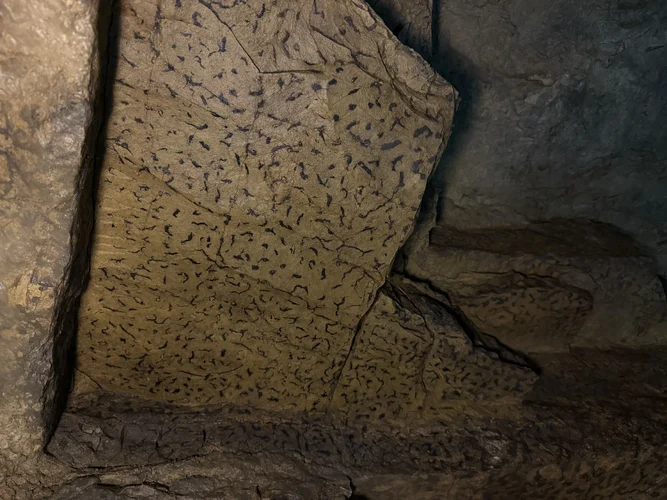 G-Loch Expedition 6322.webp