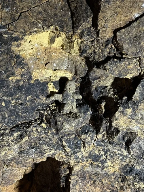 G-Loch Expedition 6286.jpeg G-Loch Expedition 6286.jpeg