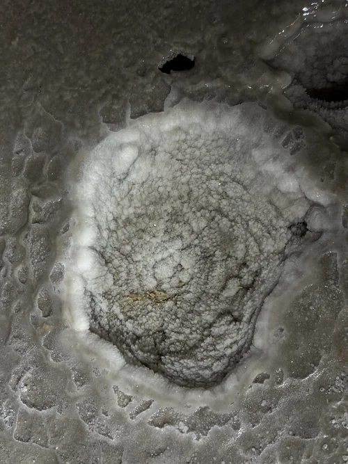 G-Loch Expedition 6241.jpeg G-Loch Expedition 6241.jpeg