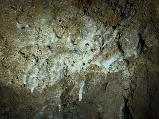 G-Loch Expedition 6230.jpeg G-Loch Expedition 6230.jpeg