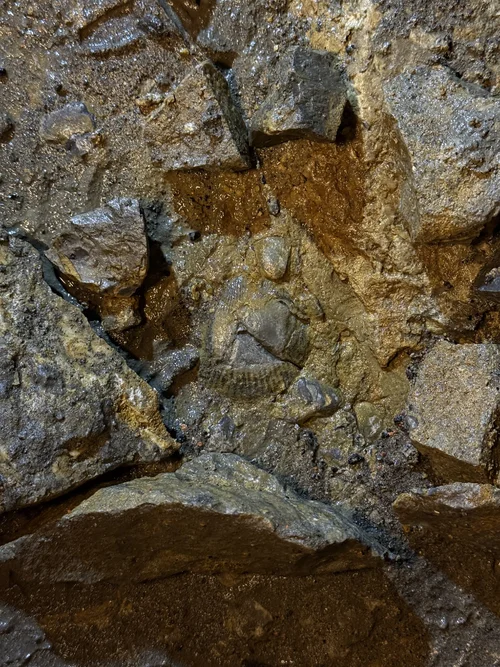 G-Loch Expedition 6215.jpeg G-Loch Expedition 6215.jpeg