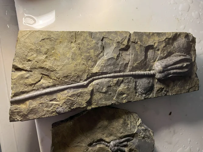 IMG_4652.jpg IMG_4652.jpg