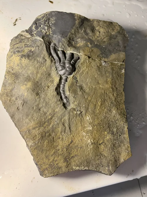 IMG_4651.jpg IMG_4651.jpg