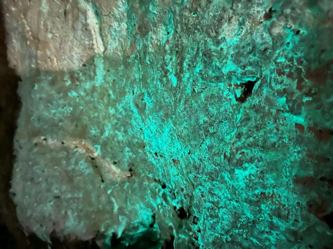 IMG_4662.jpg IMG_4662.jpg