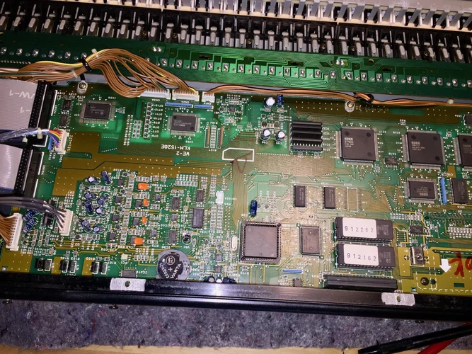 IMG_2326.jpeg IMG_2326.jpeg