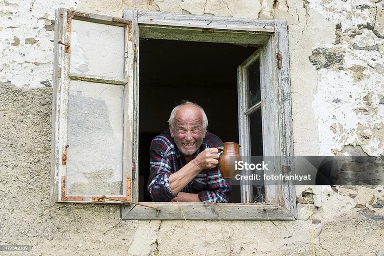 IMG_7462.webp IMG_7462.webp