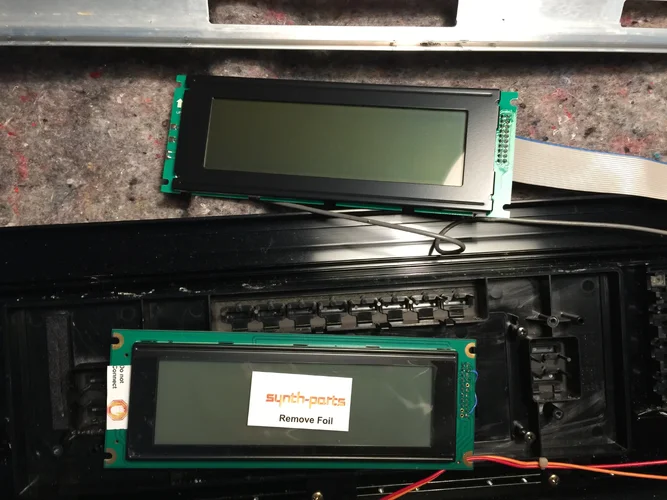 IMG_2355.jpeg IMG_2355.jpeg