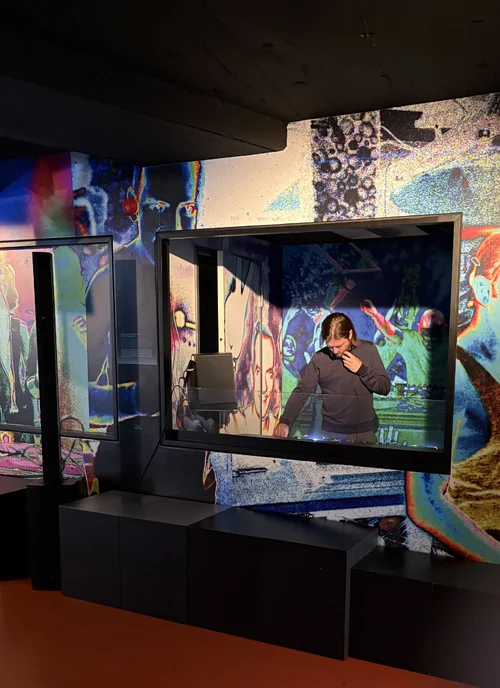 IMG_0151_bearbeitet.JPG IMG_0151_bearbeitet.JPG