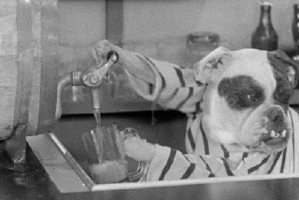 beer-dogs.gif