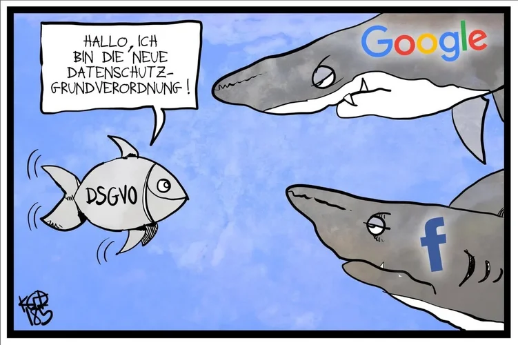 Karikatur DSGVO.webp