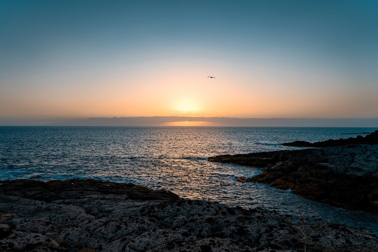 20250427_ILCE-7CR_DSC00395.jpeg