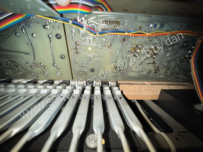 arp_strings_synth_2991.jpg