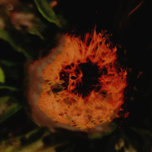 IMG_20250423_003902.jpg IMG_20250423_003902.jpg