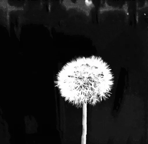 IMG_20250423_011742.jpg IMG_20250423_011742.jpg