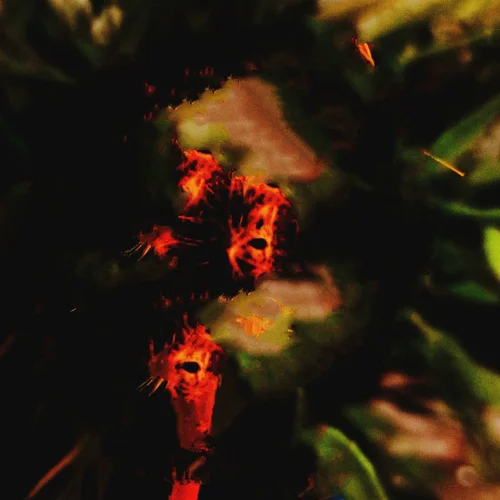 IMG_20250423_003659.jpg IMG_20250423_003659.jpg