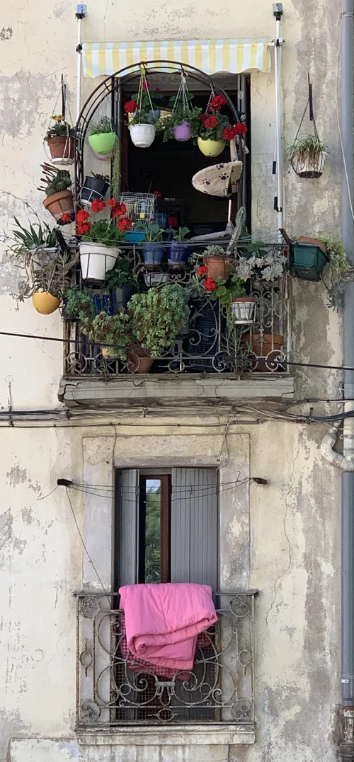 IMG_5314.webp IMG_5314.webp