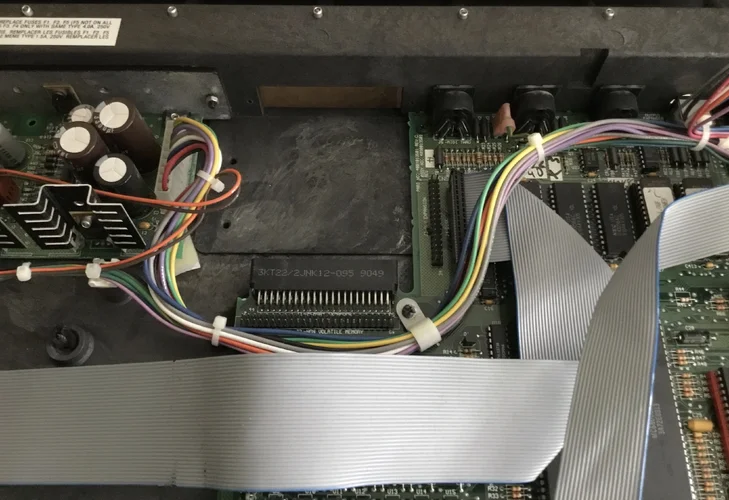 IMG_1303.jpeg IMG_1303.jpeg