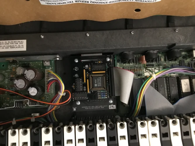 IMG_1306.jpeg IMG_1306.jpeg