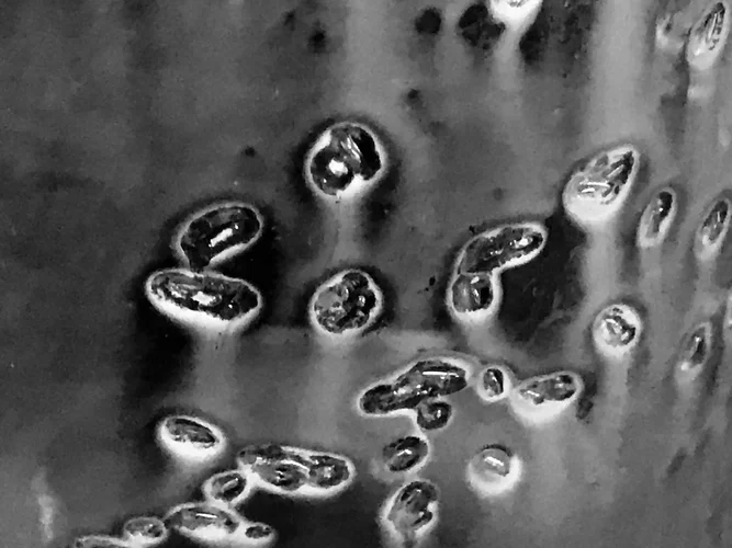 IMG_E1302.webp IMG_E1302.webp