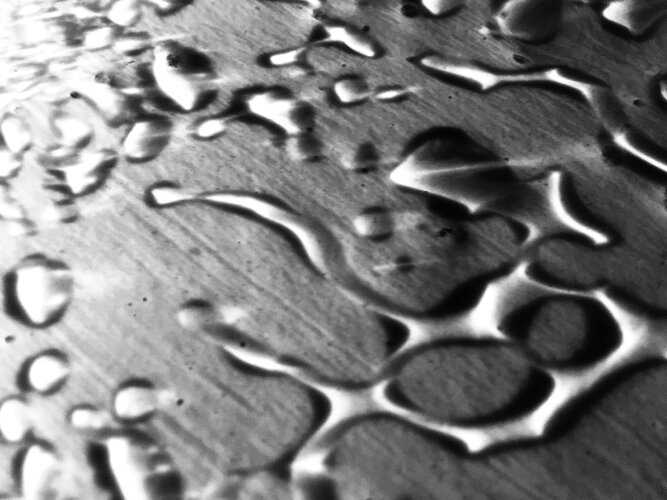 IMG_E1433.JPG IMG_E1433.JPG