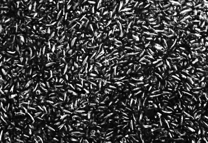 IMG_E1412.JPG IMG_E1412.JPG