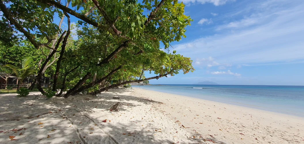 20250608_094206.webp 20250608_094206.webp