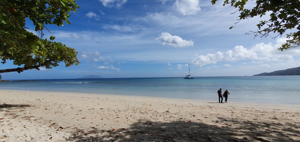 20250608_094211.jpg 20250608_094211.jpg