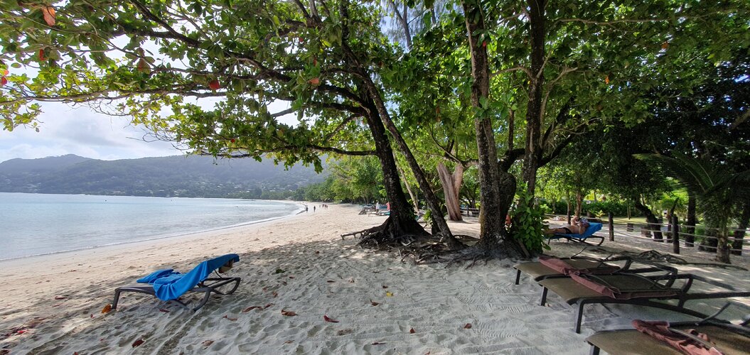 20250608_094201.jpg 20250608_094201.jpg