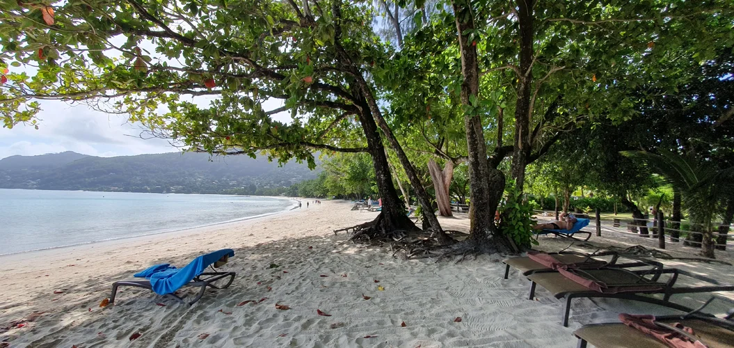 20250608_094201.webp 20250608_094201.webp