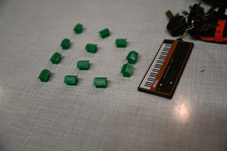 HK2025_Fischbach 4378.JPG