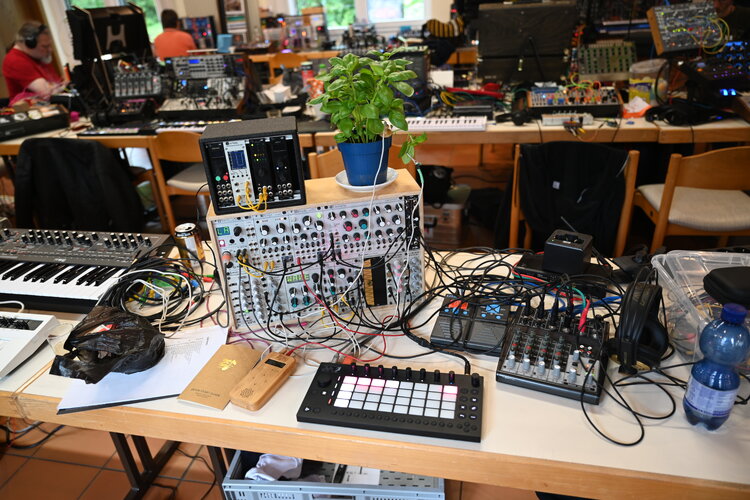 HK2025_Fischbach 3861.JPG