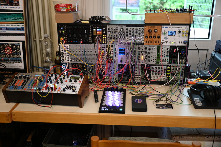 HK2025_Fischbach 3763.JPG