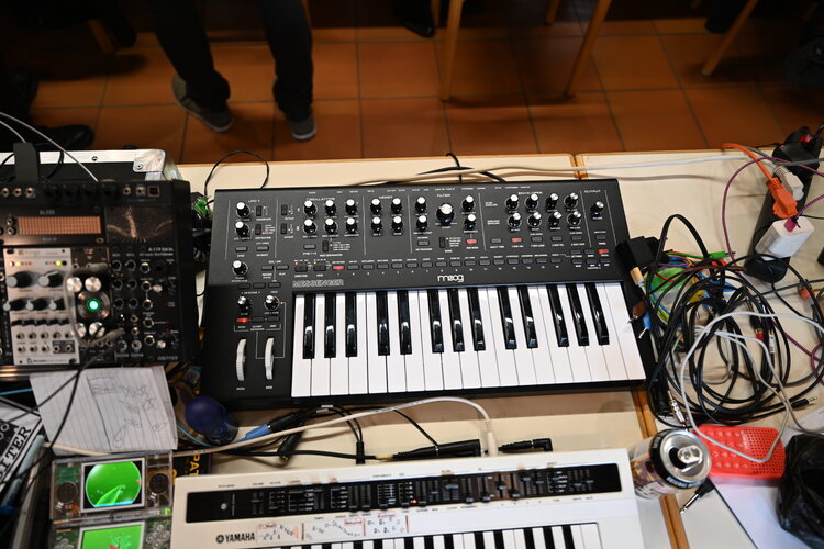 HK2025_Fischbach 3703.JPG