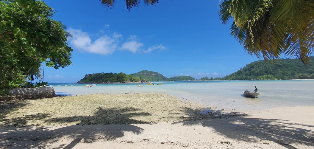 20250611_115623.webp 20250611_115623.webp