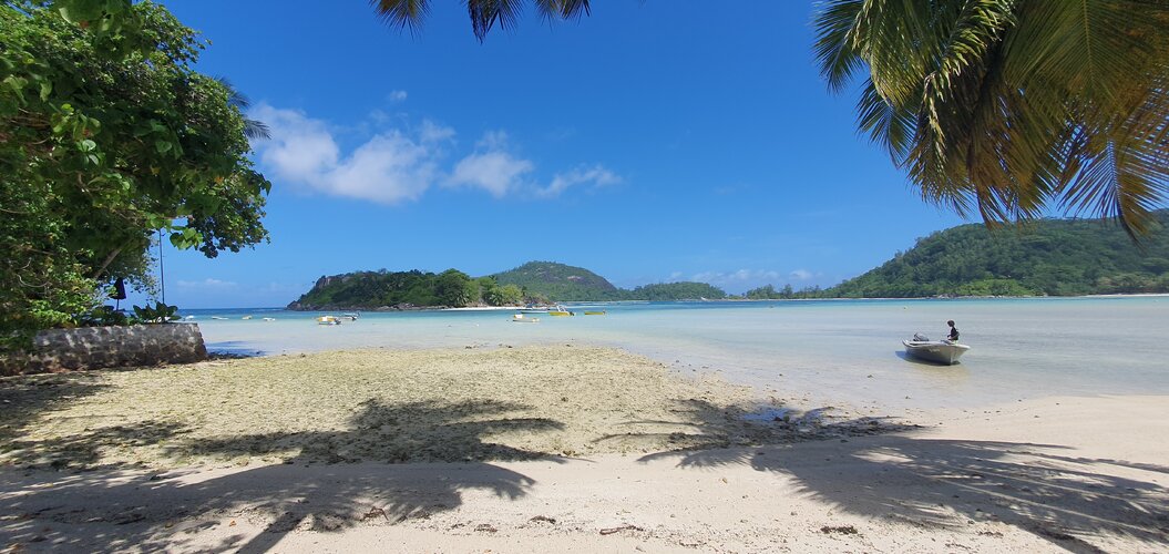 20250611_115623.jpg 20250611_115623.jpg