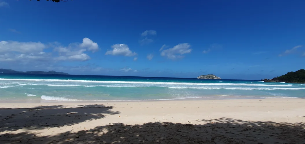 20250611_111343.webp 20250611_111343.webp