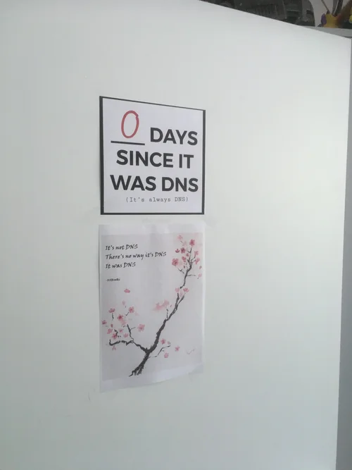 IMG_1384.webp IMG_1384.webp